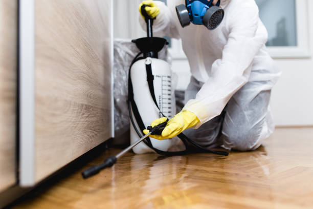 Reliable San Ysidro, NM Pest Control Solutions