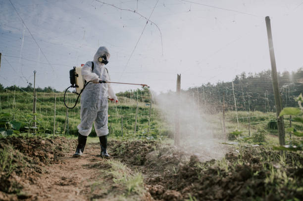 Best Commercial Pest Control Services  in San Ysidro, NM