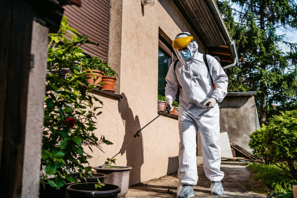 Best Local Pest Control Services  in San Ysidro, NM