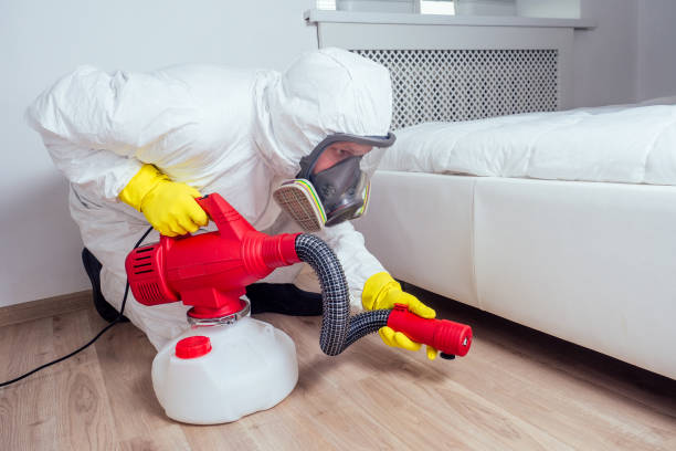 Pest Control Cost in San Ysidro, NM